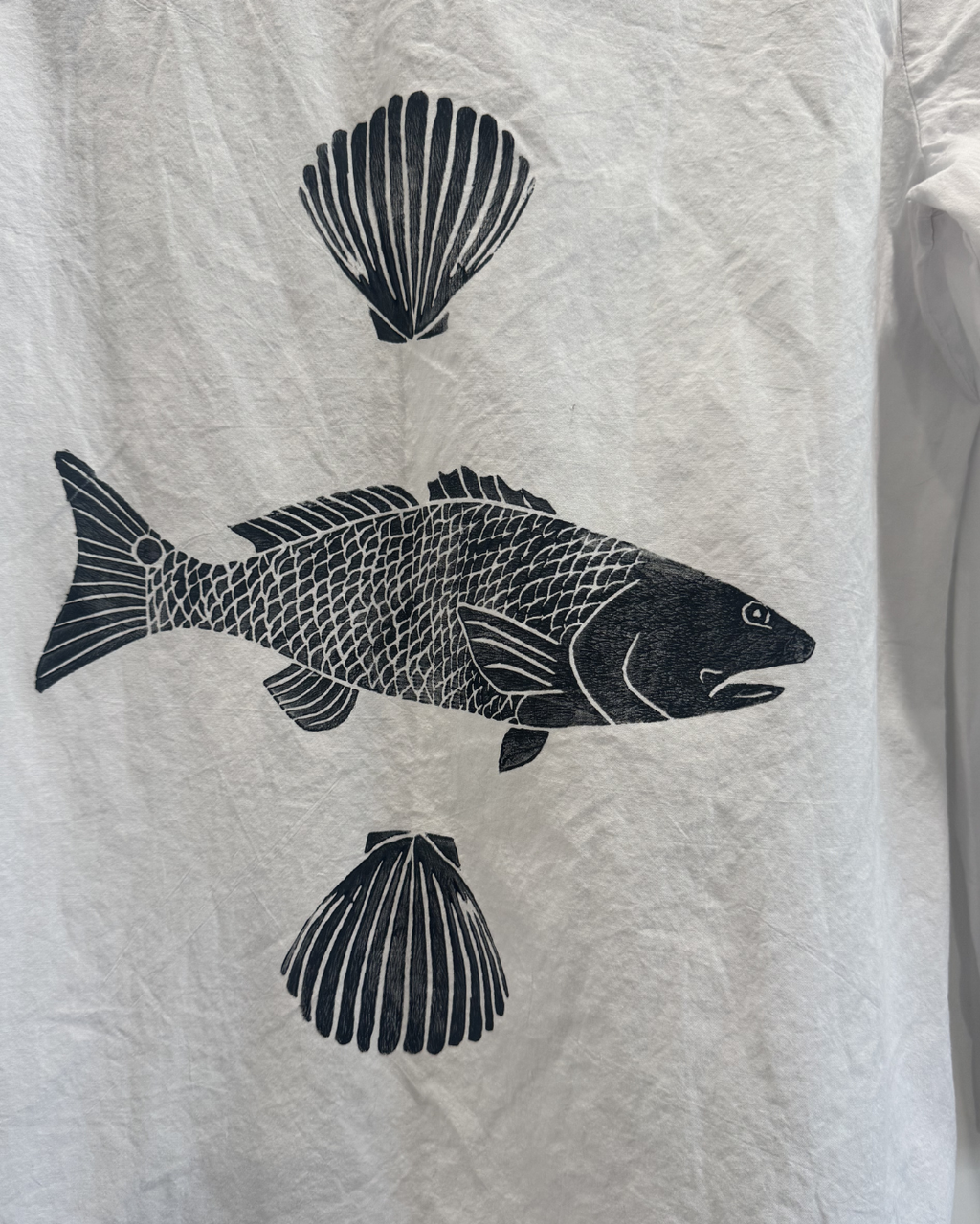 Bluefish Button Down