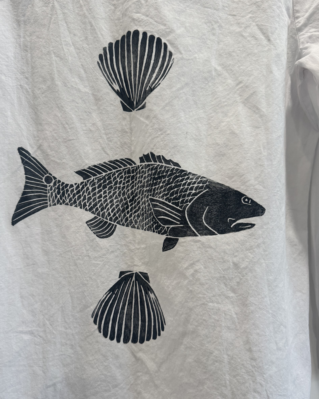 Bluefish Button Down