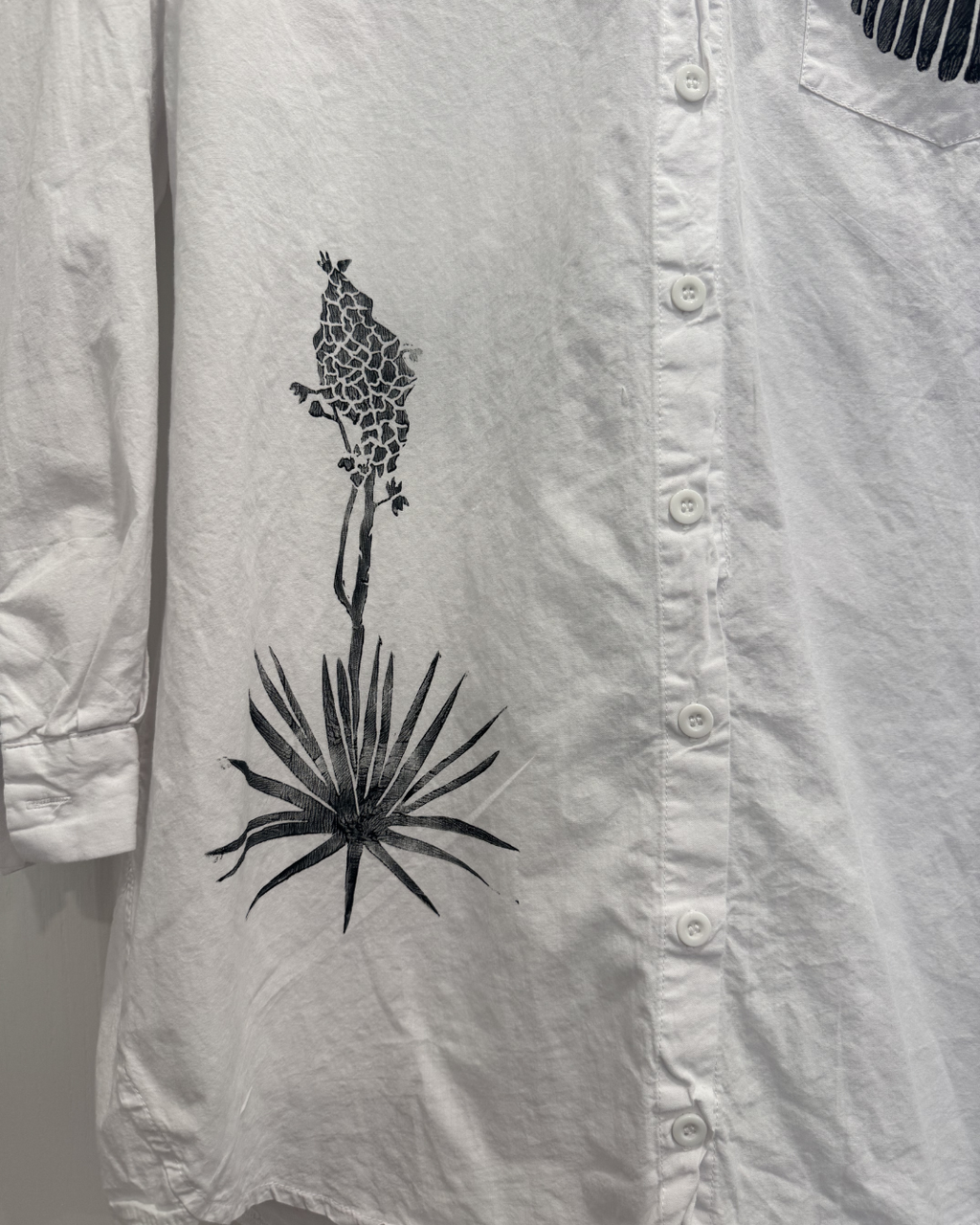 Bluefish Button Down