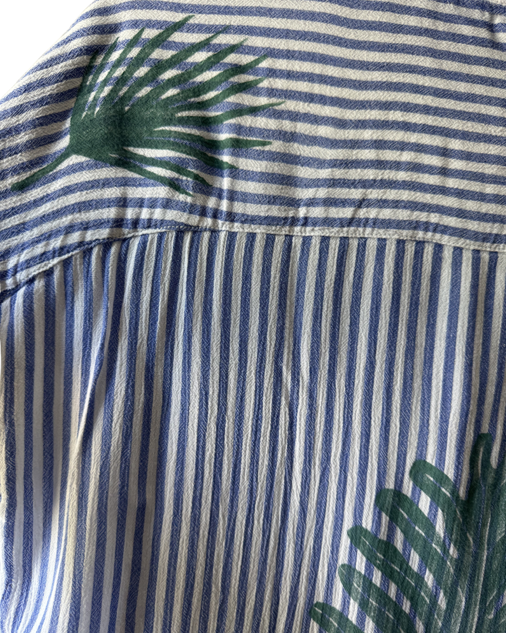 Behind the Palm Frond Top