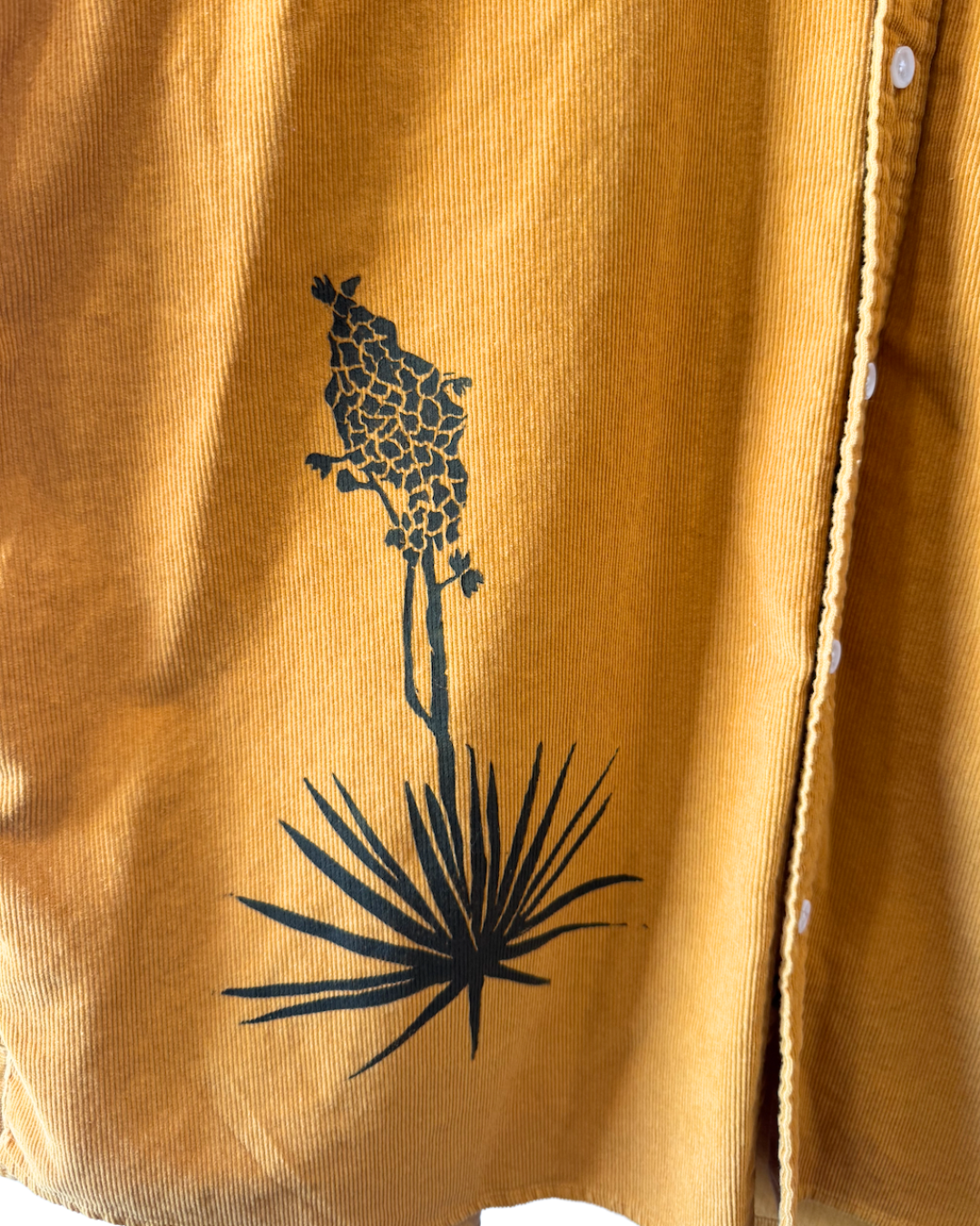 Coreopsis Cord Button Down
