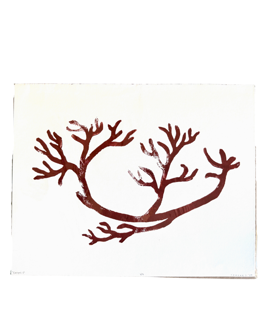 Coral I Print