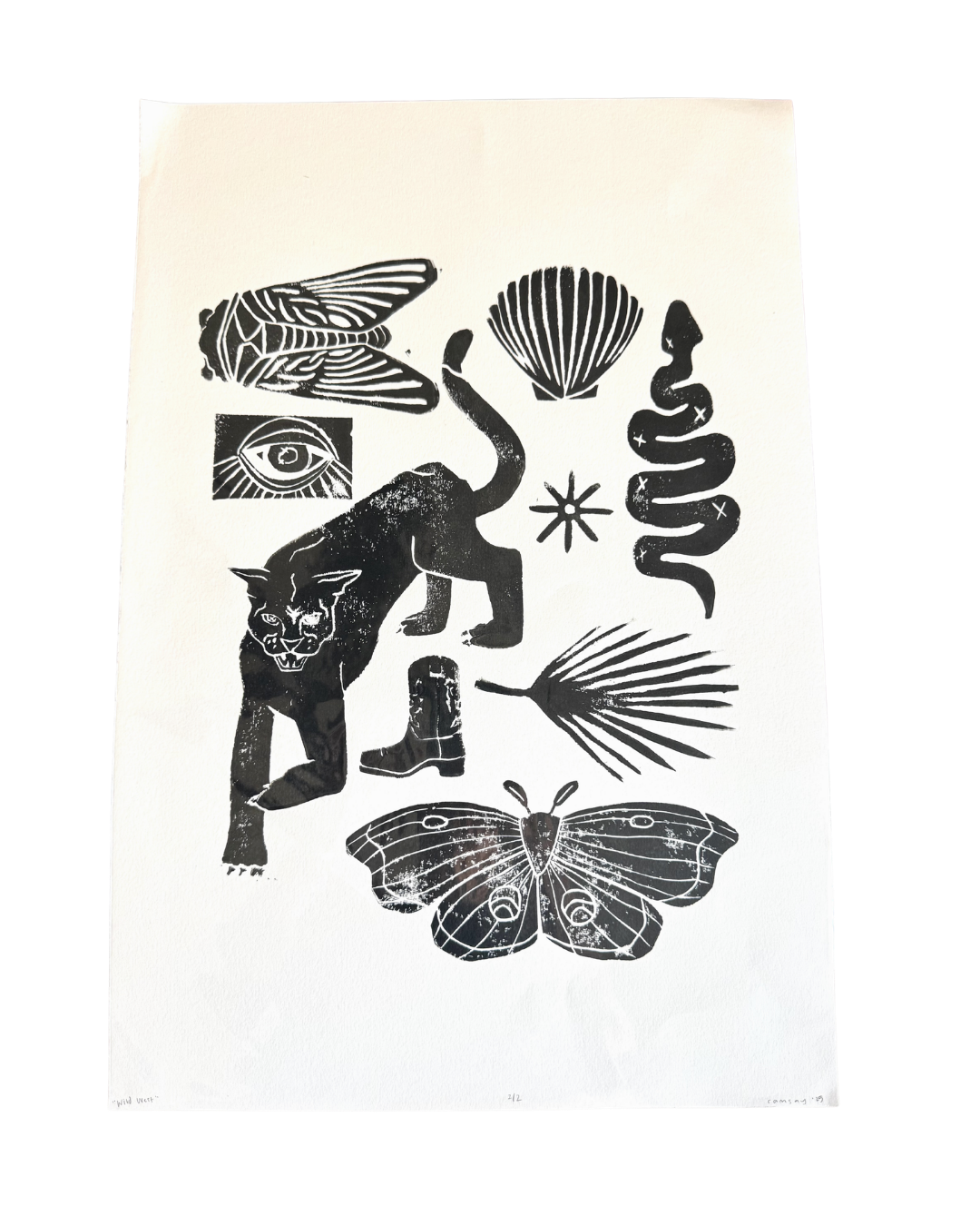 Panhandle Woods Print