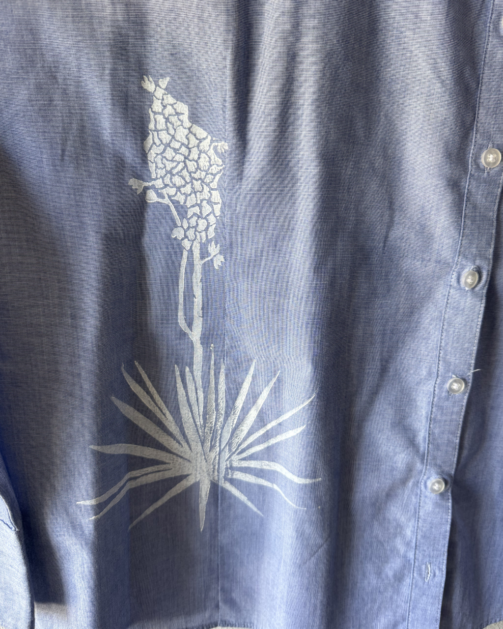 Blue Mountain Button Down