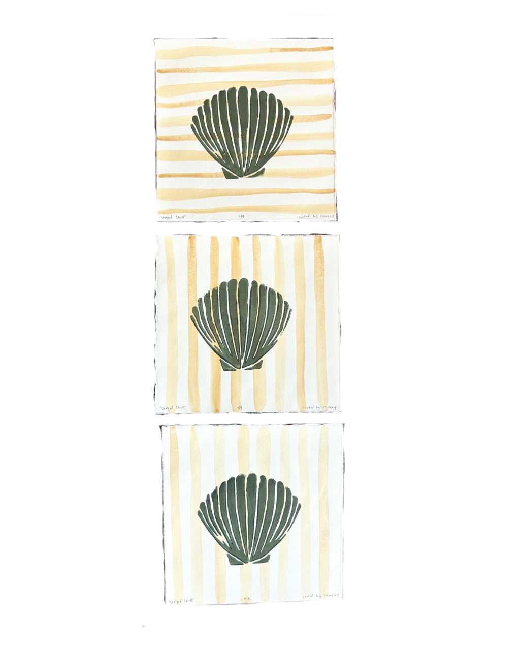 Striped Shell Print