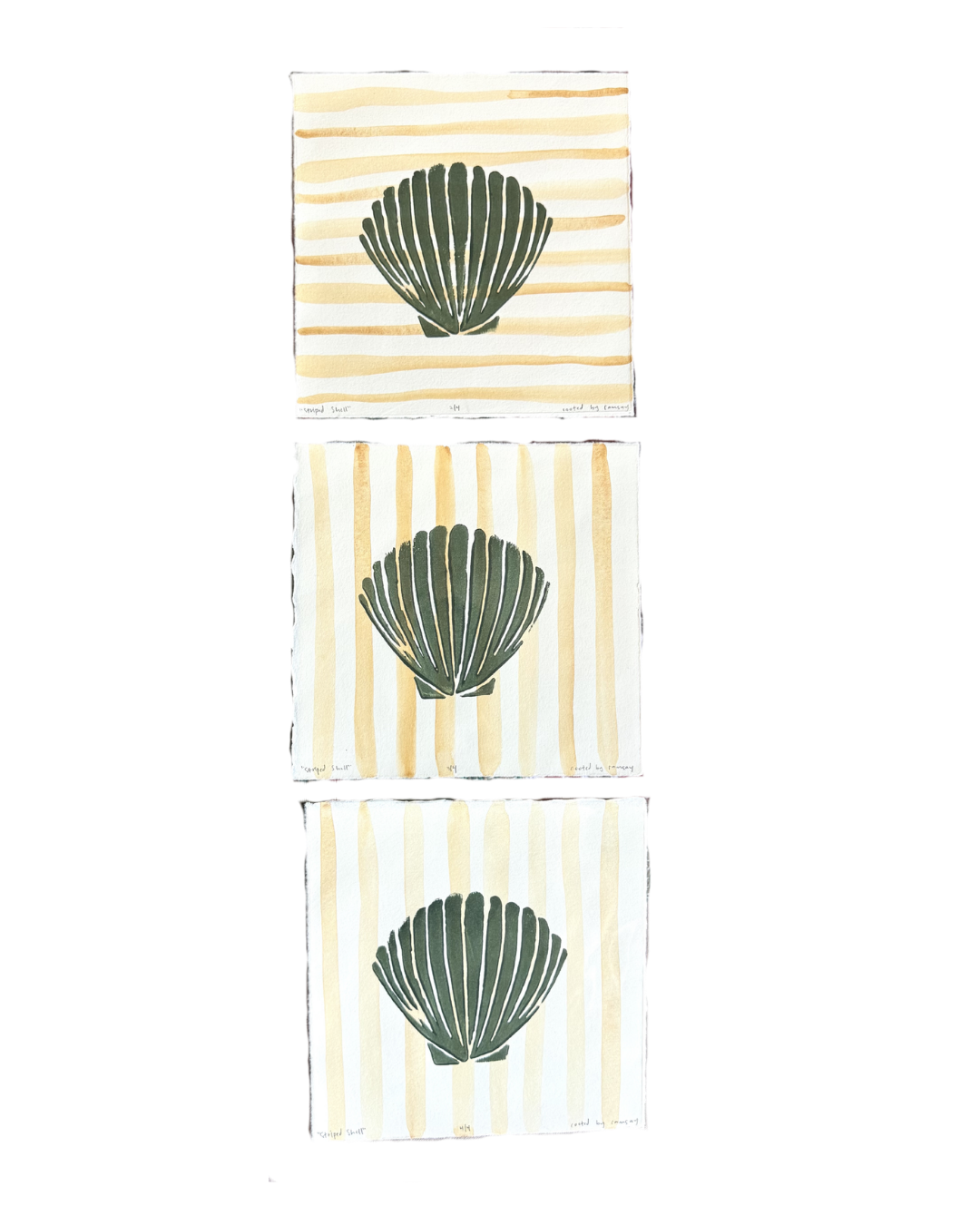 Striped Shell Print