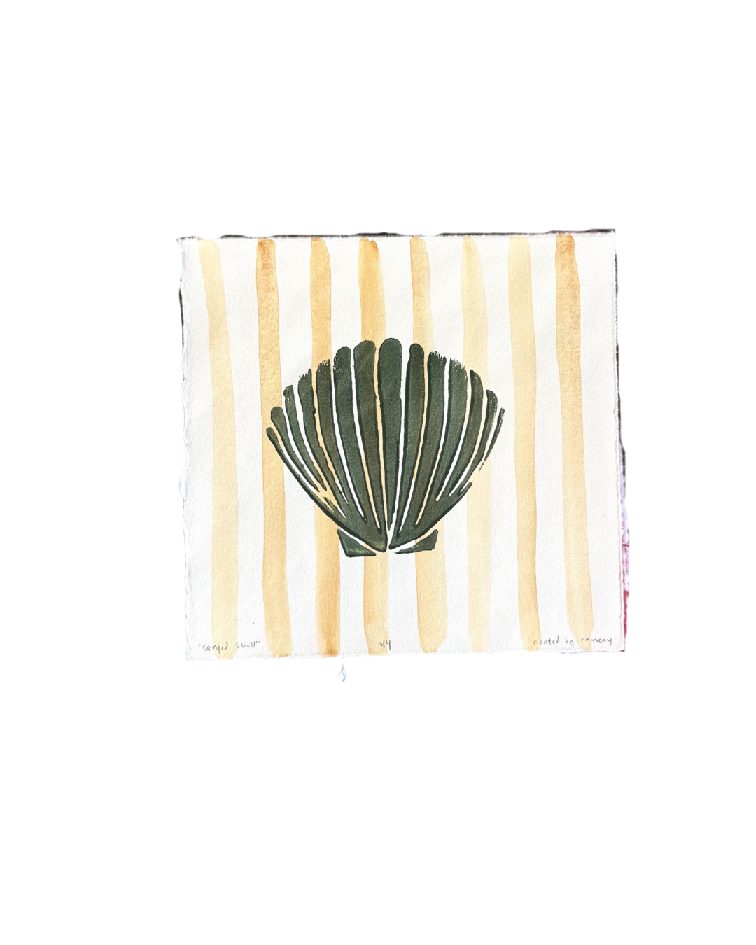 Striped Shell Print