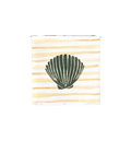 Striped Shell Print