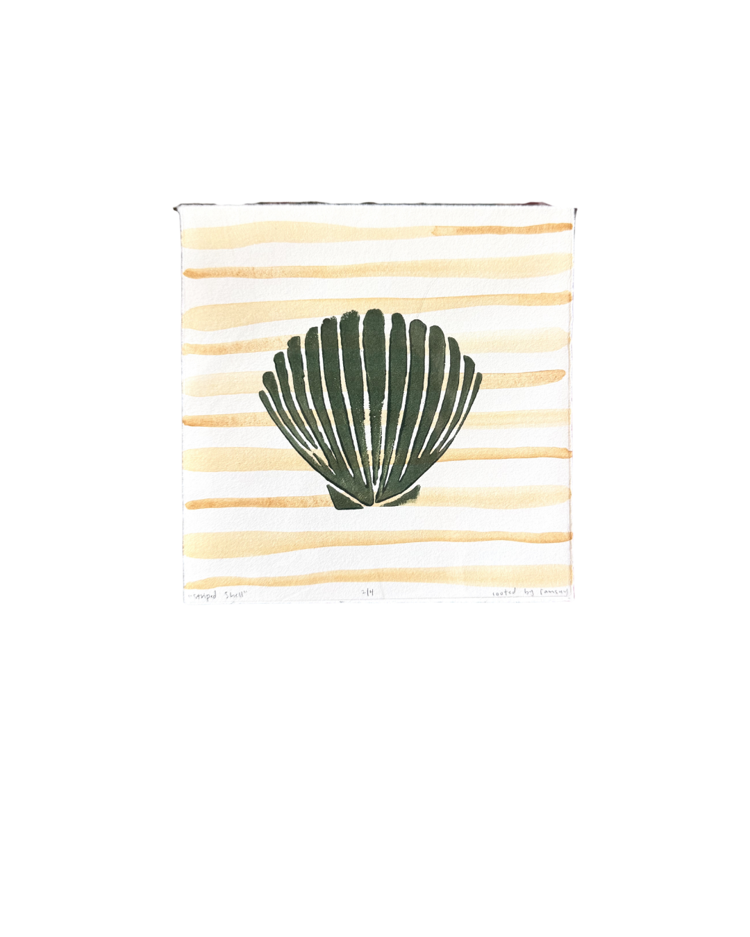 Striped Shell Print