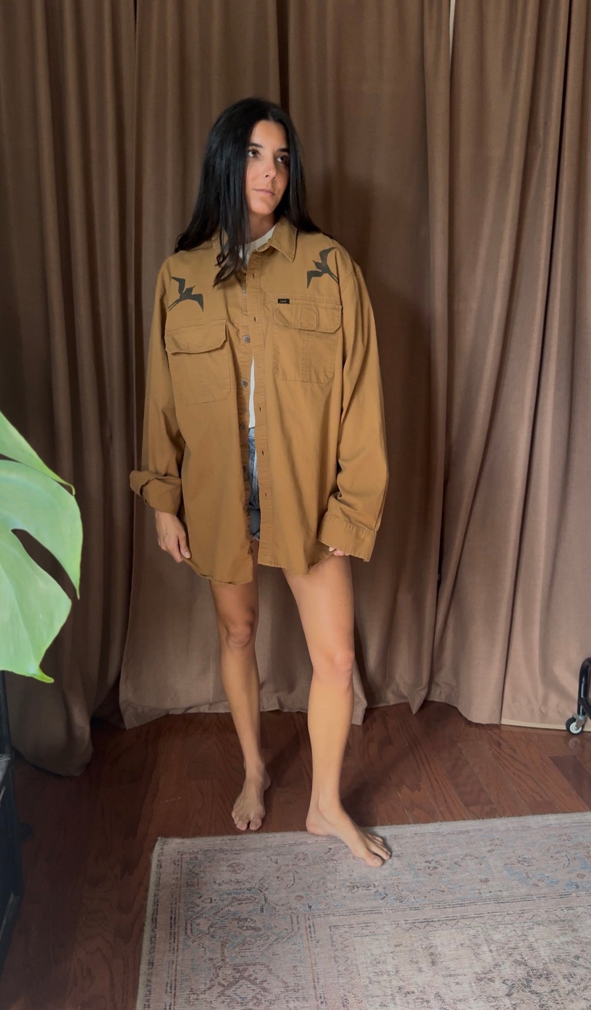 Follow the Frigate Button Down