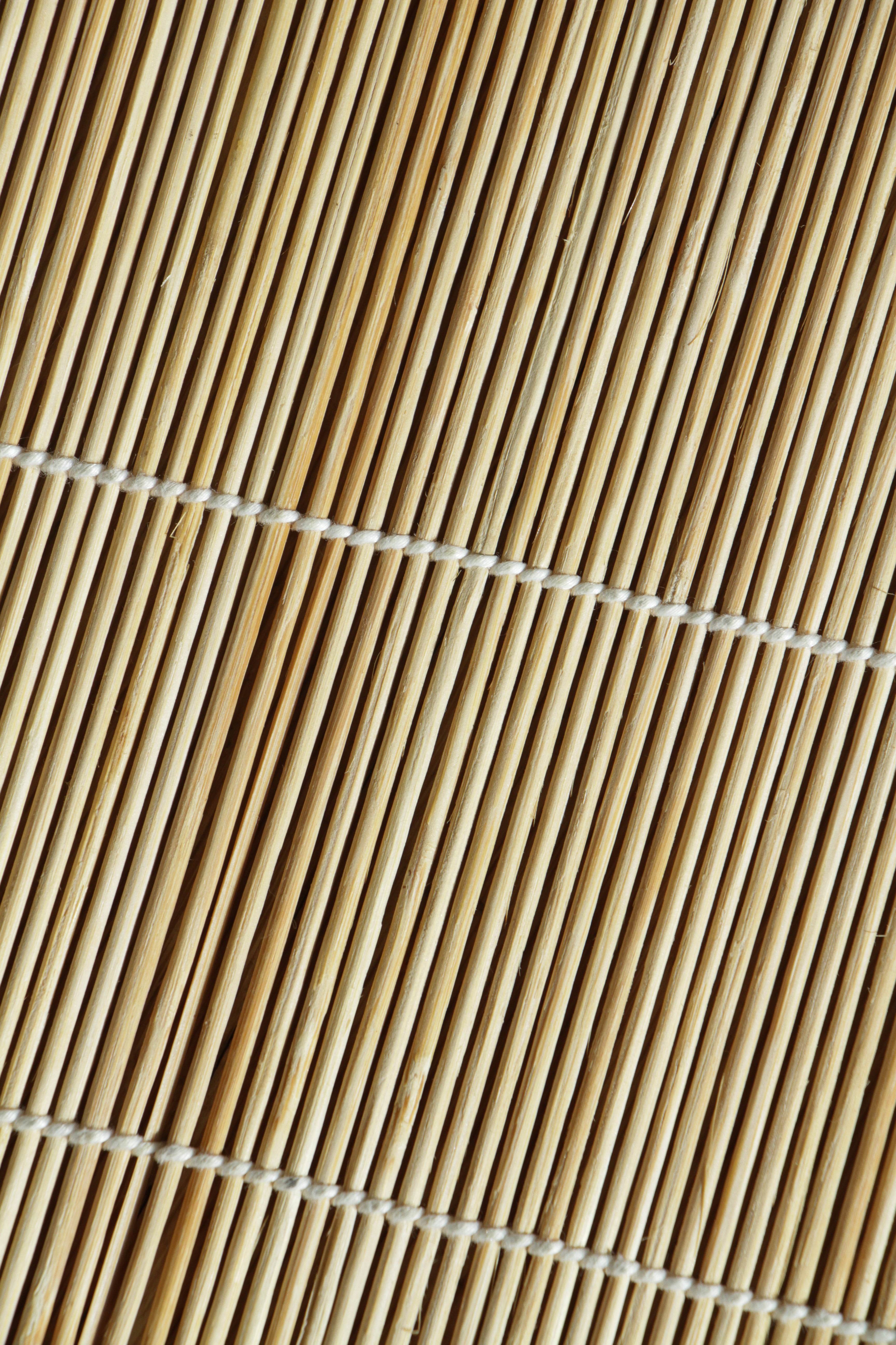 Bamboo Placemats