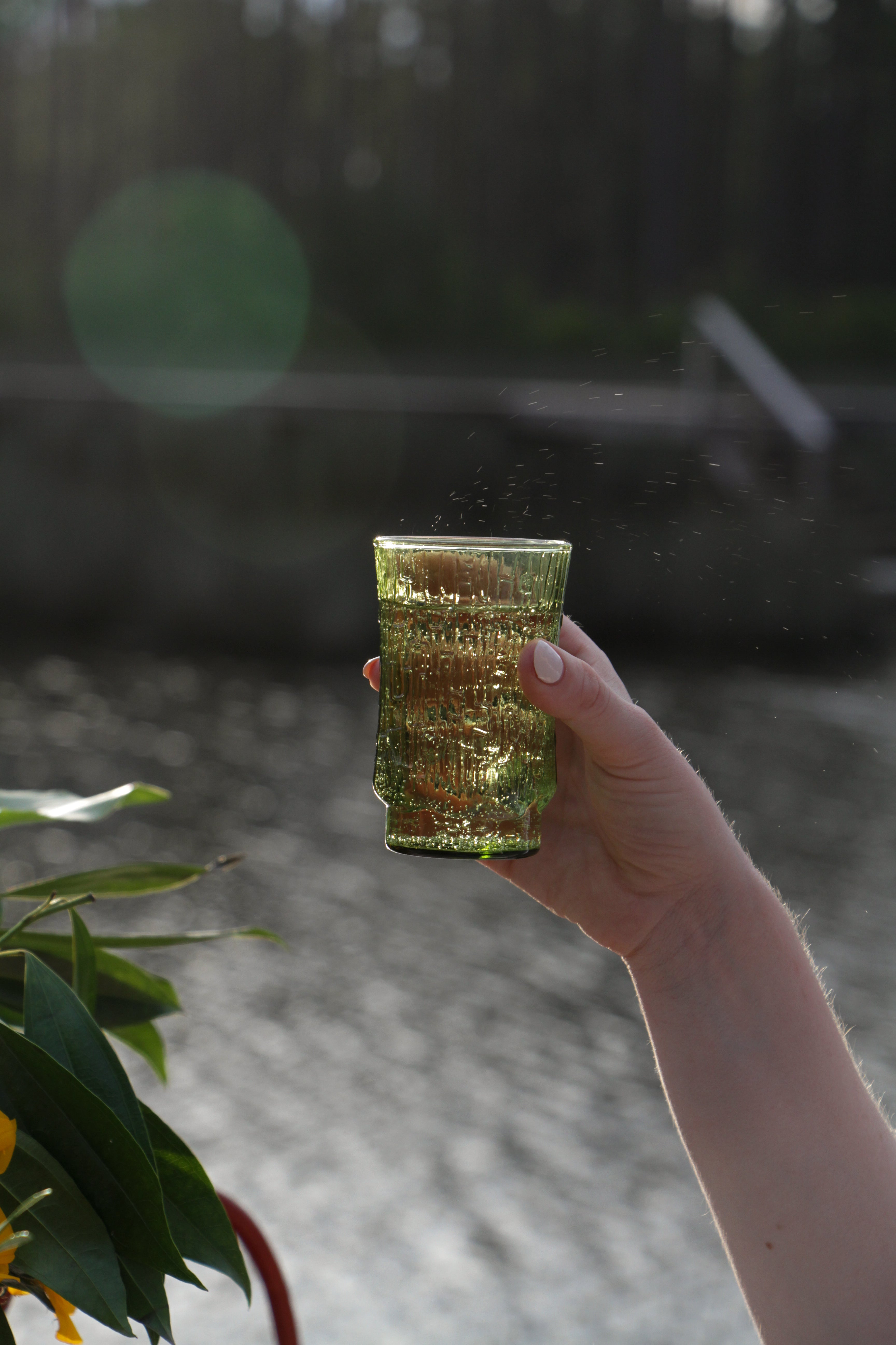 Green Bamboo Glass
