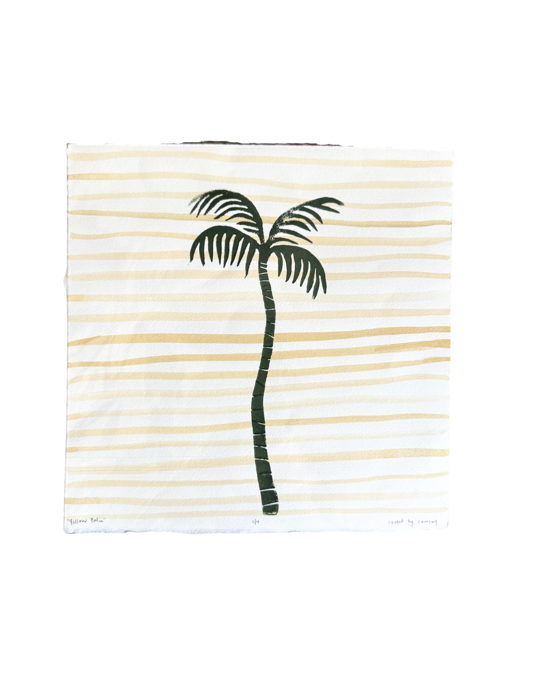 Striped Yellow Palm